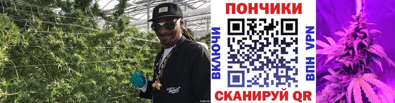 Где купить наркоту Оха Гашиш  Cocaine  Амфетамин  A PVP  Конопля  Мефедрон 