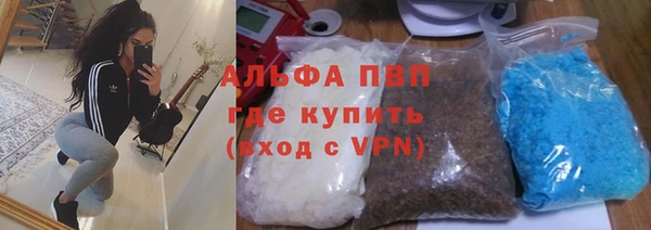 гашик Аркадак
