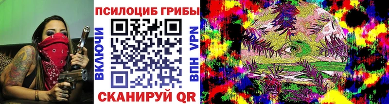 где купить наркотик Оха Псилоцибиновые грибы Cubensis