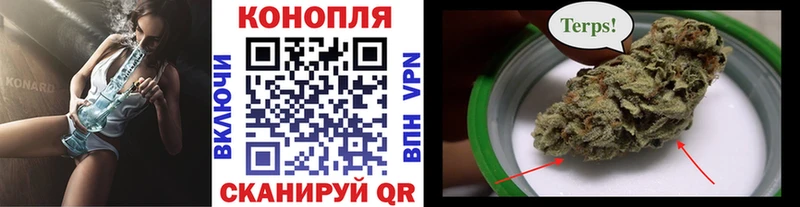 Бошки Шишки семена Оха